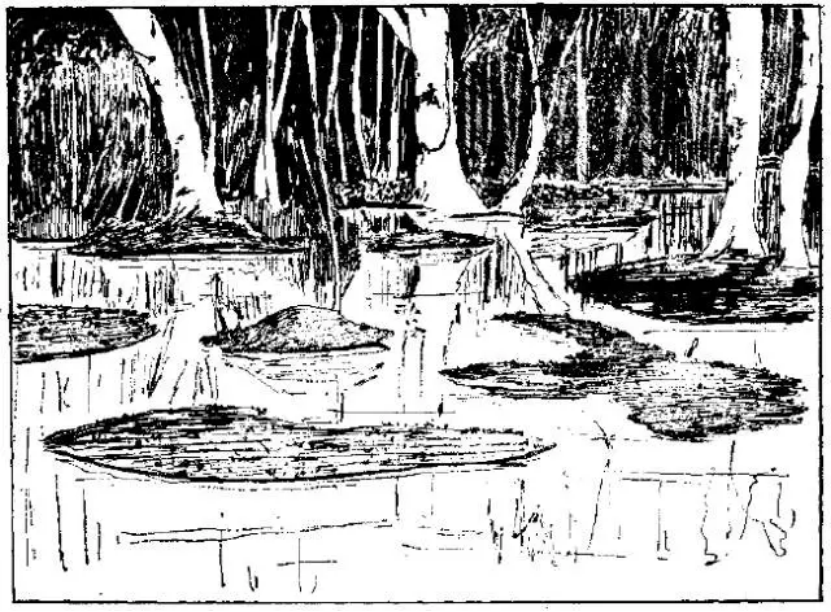 盤點各類地質(zhì)地貌類型-地?zé)豳Y源開發(fā)-地大熱能