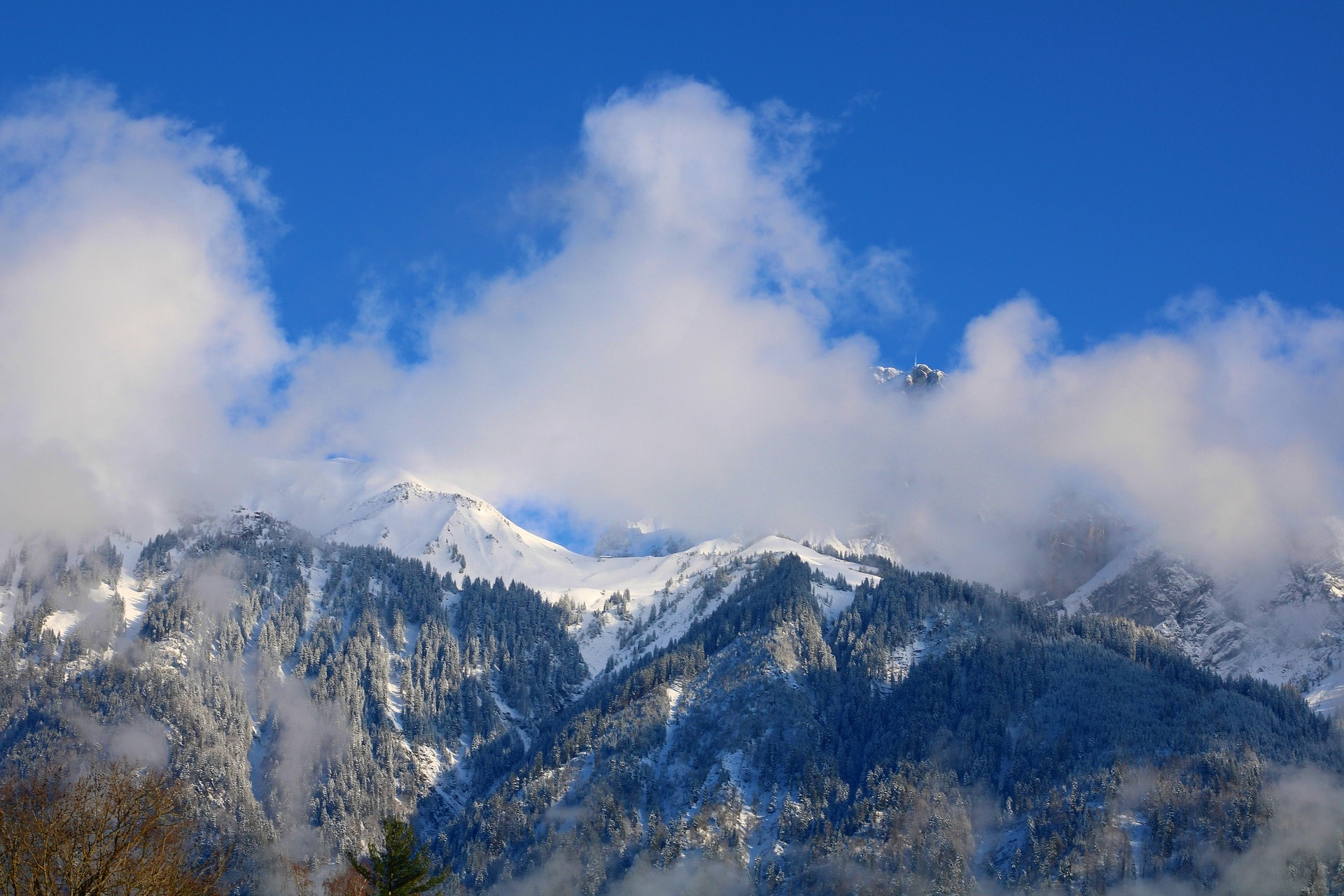 如何深化清潔能源協(xié)同推進(jìn)降碳、減污、擴(kuò)綠、增長(zhǎng)-地大熱能